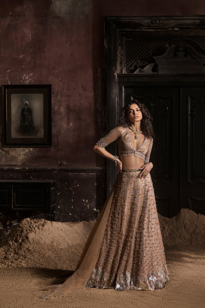 Nude 3d Petal Organza Lehenga With Hand Embroidered Blouse And Dupatta