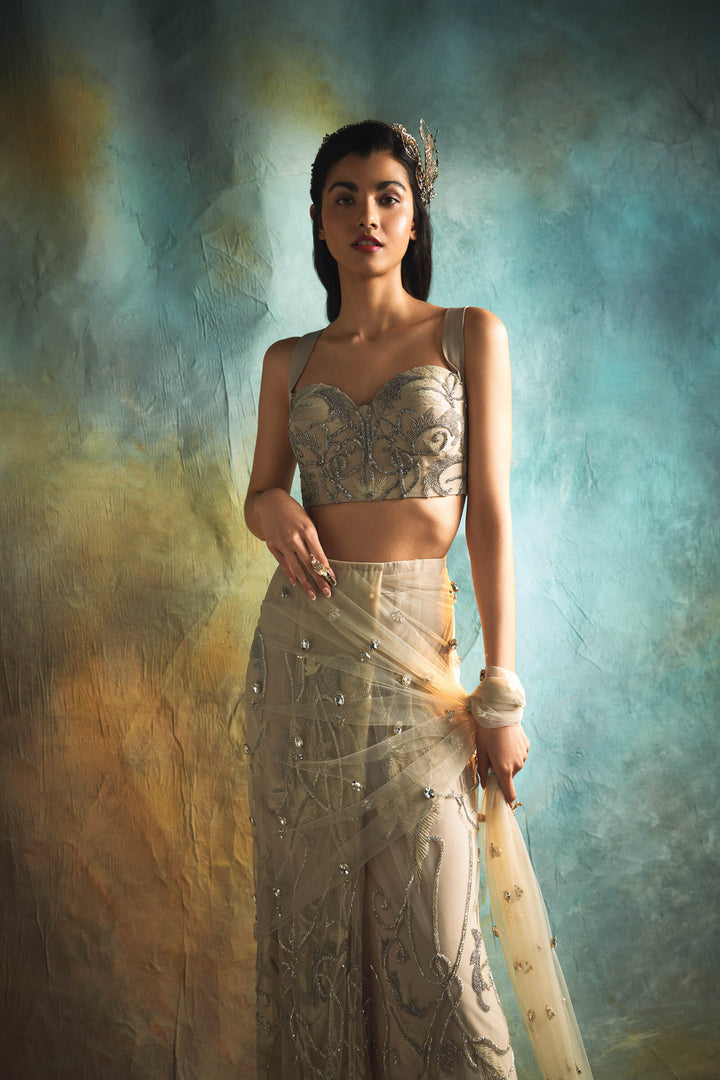 Champagne Tulle Saree With Stone Aanchal And Threadwork Blouse