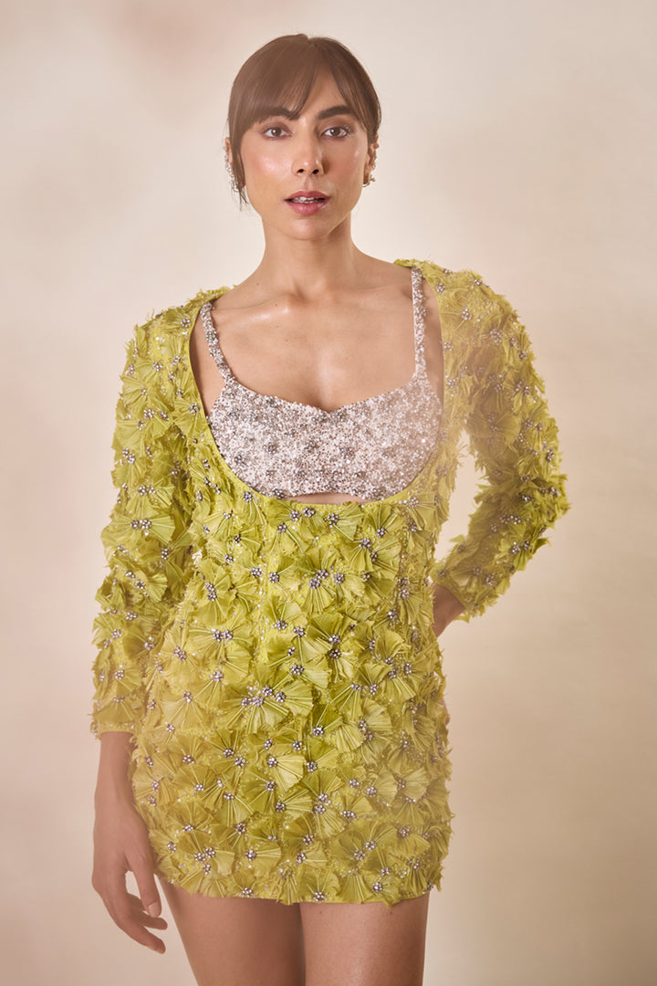 Lime Green Feather Embellished Dress With Bralet