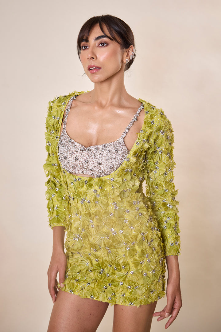 Lime Green Feather Embellished Dress With Bralet