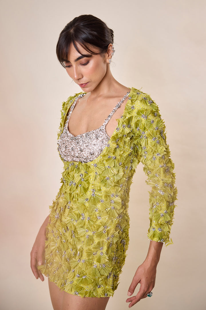 Lime Green Feather Embellished Dress With Bralet