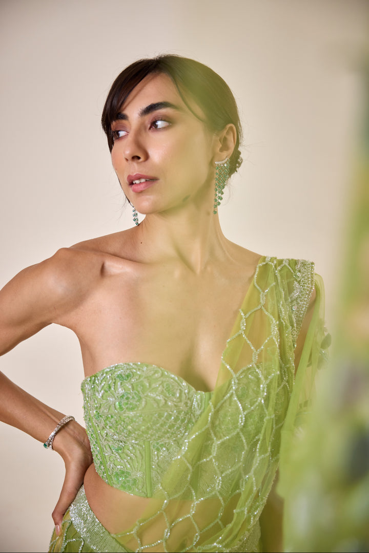 Parrot Green Moroccan Sari With 3D Flower Detail