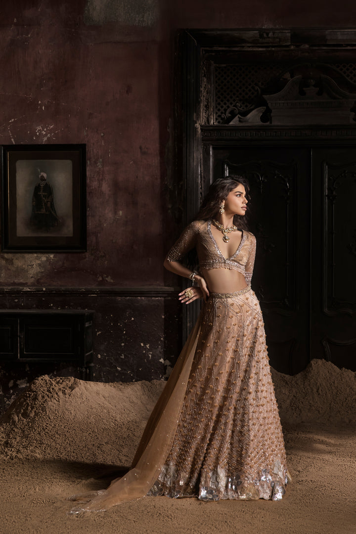 Nude 3d Petal Organza Lehenga With Hand Embroidered Blouse And Dupatta