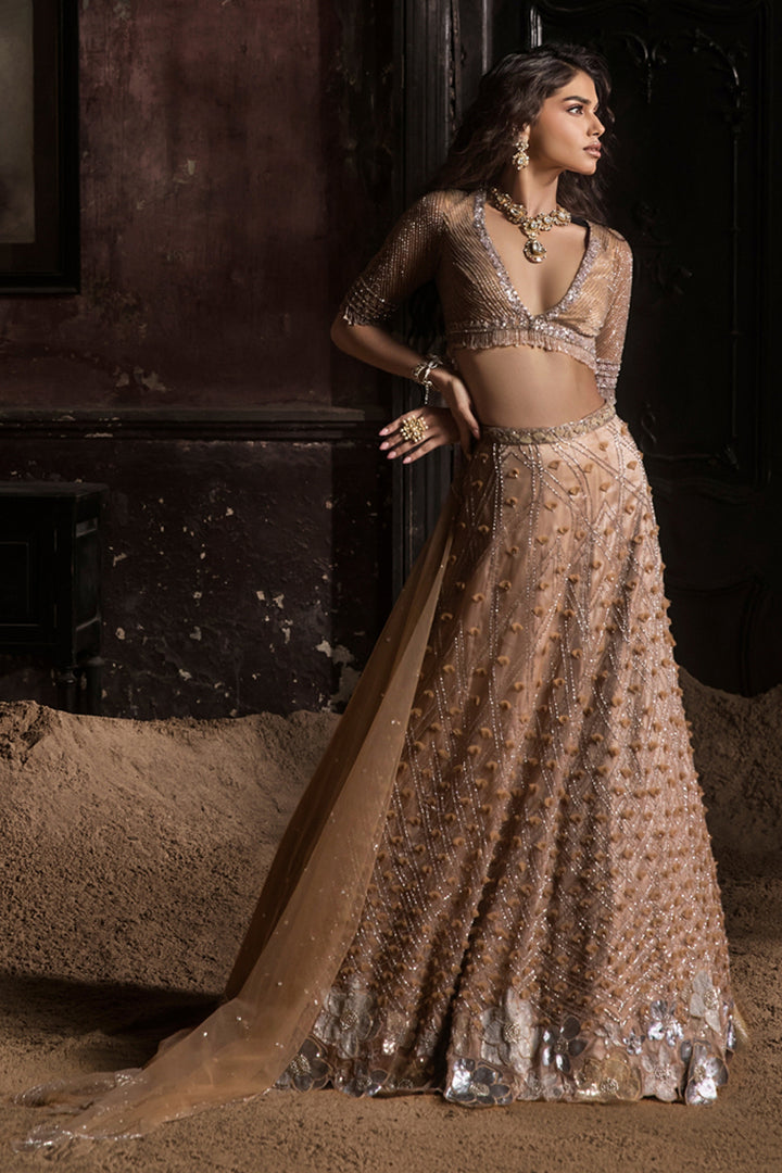 Nude 3d Petal Organza Lehenga With Hand Embroidered Blouse And Dupatta