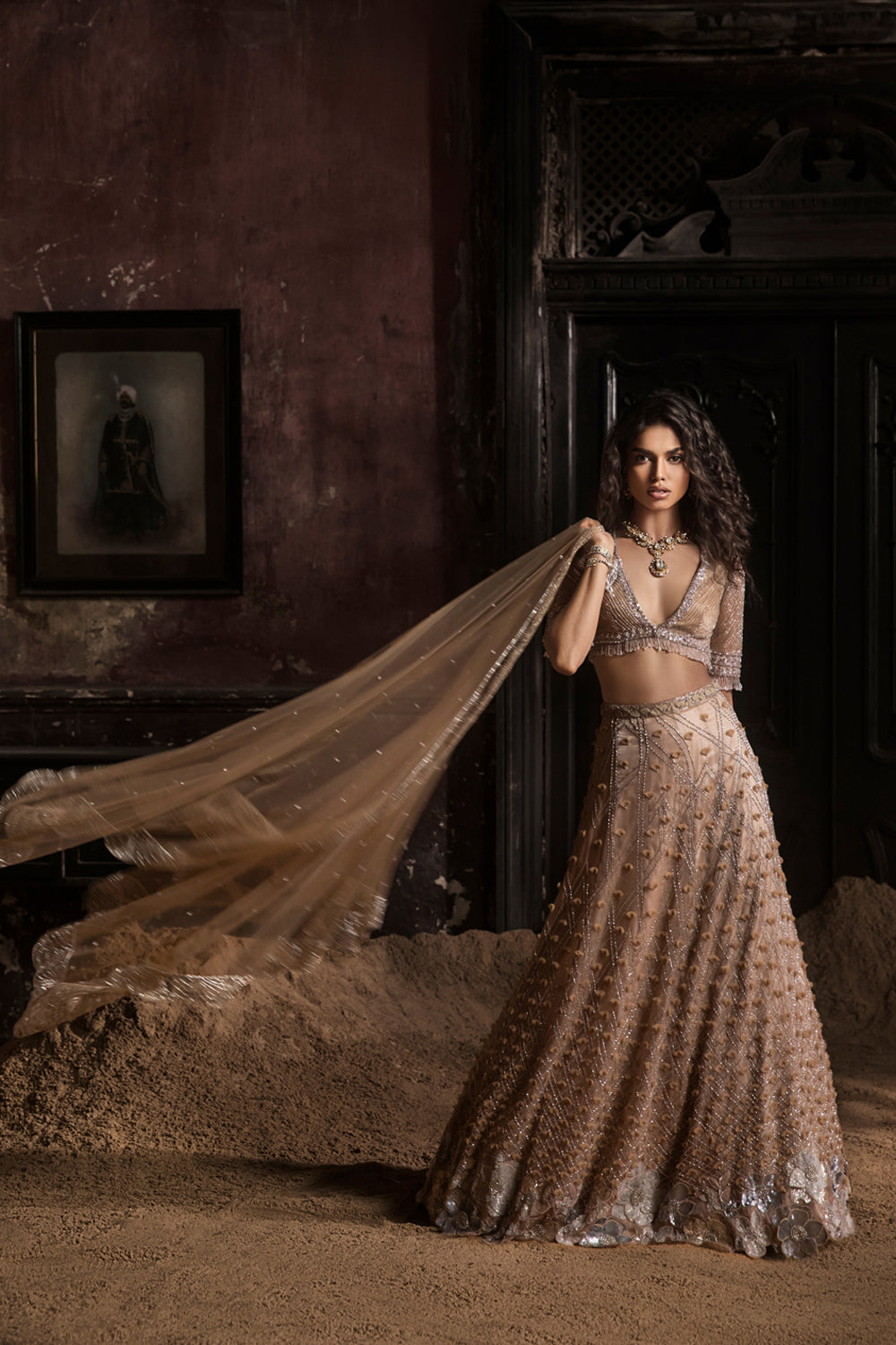 Nude 3d Petal Organza Lehenga With Hand Embroidered Blouse And Dupatta
