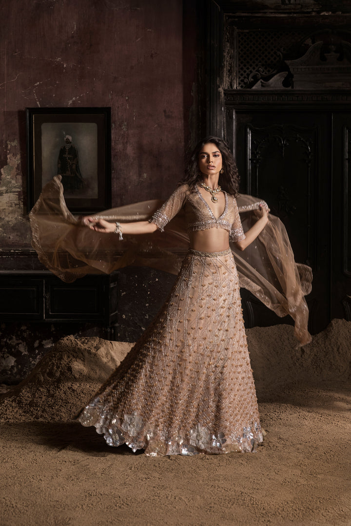 Nude 3d Petal Organza Lehenga With Hand Embroidered Blouse And Dupatta
