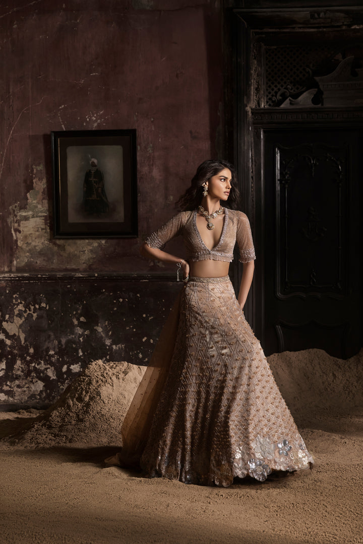 Nude 3d Petal Organza Lehenga With Hand Embroidered Blouse And Dupatta