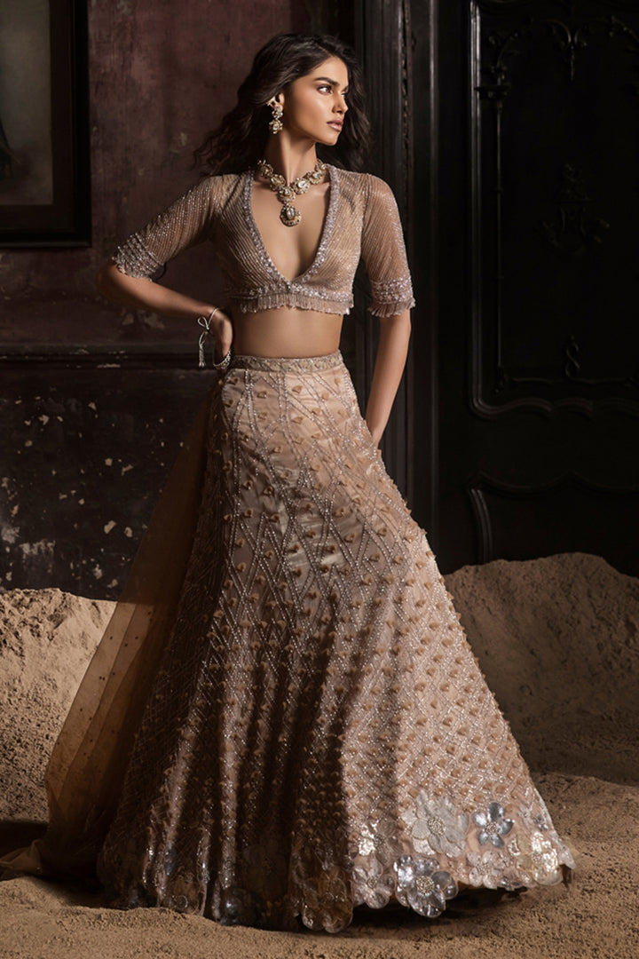 Nude 3d Petal Organza Lehenga With Hand Embroidered Blouse And Dupatta
