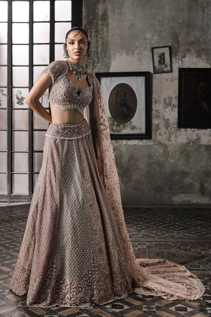 Multicolor Lehenga With Hand Embroidered Blouse And Tulle Veil
