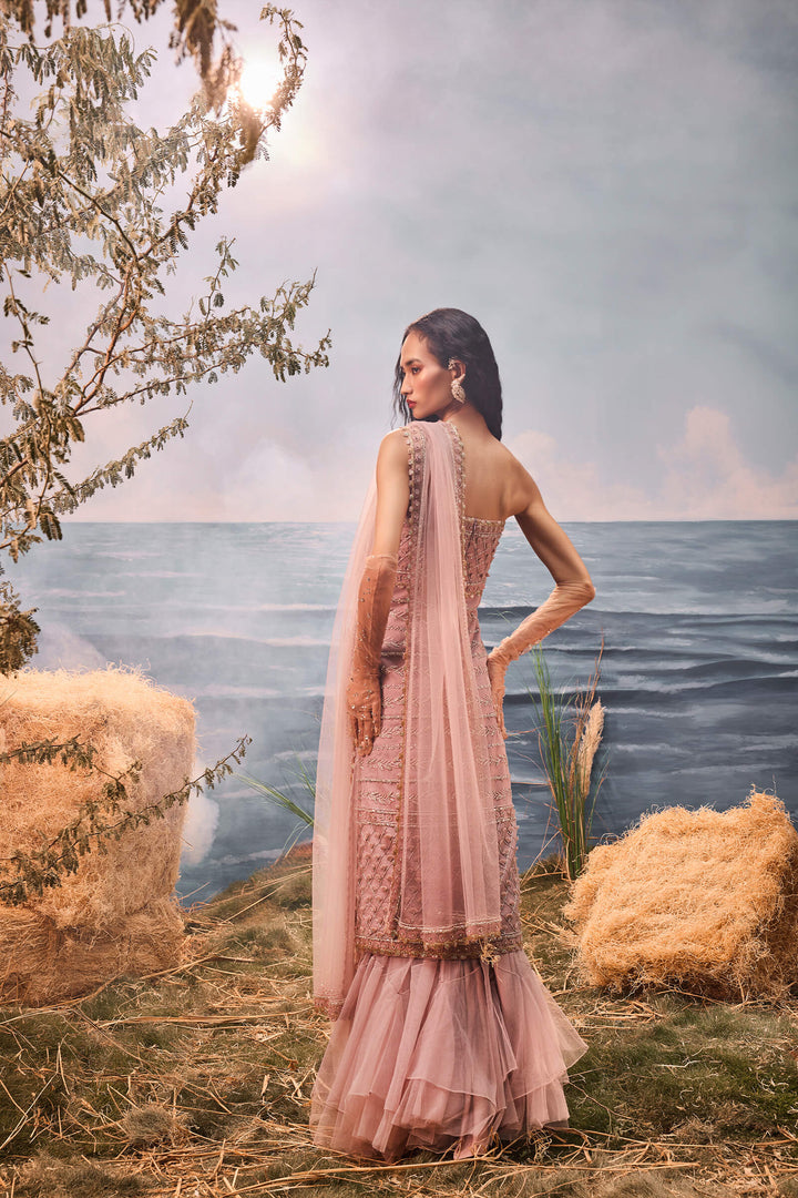 Burnt Pink Bodycon Dress With Frill Lehenga And Embroidered Dupatta