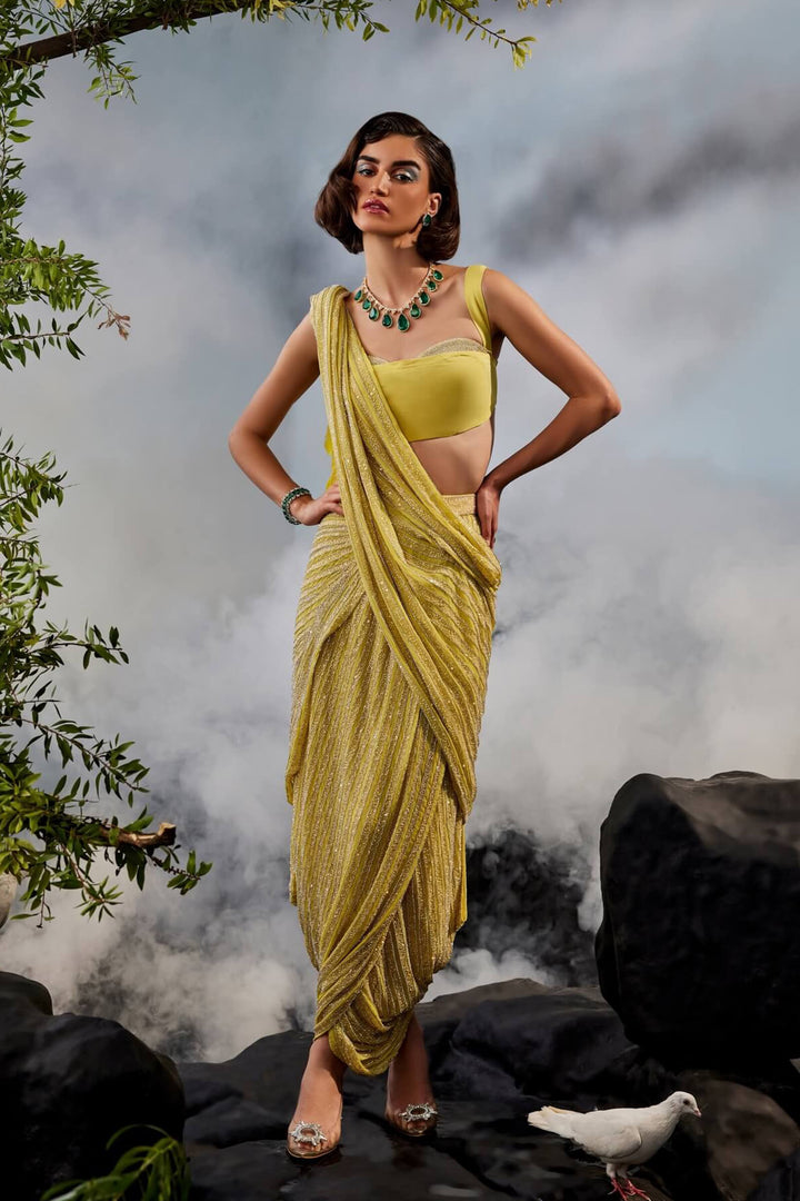 Sworowski Drape Saree With Feather Aanchal And Sworowski Embellished Blouse
