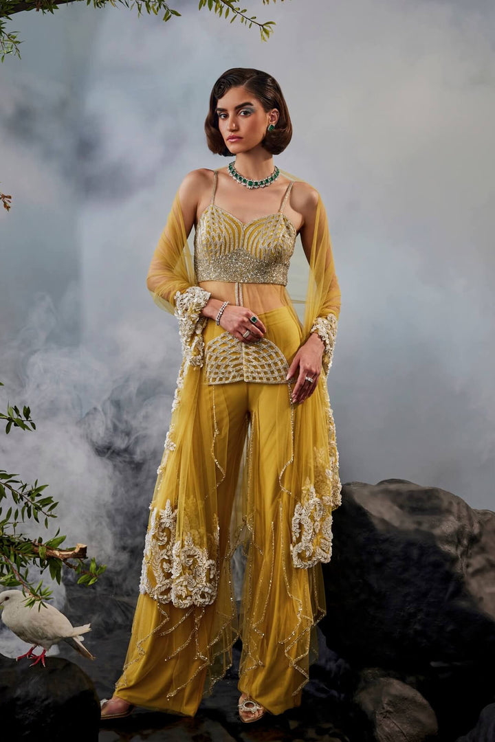 Layered Pants With Sheer Kurta And Sequin Work Stole