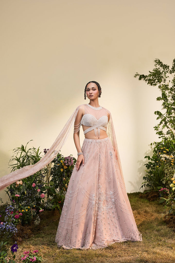 Old Rose Crystal Lehenga With Beaded Blouse