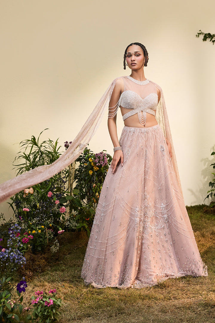 Old Rose Crystal Lehenga With Beaded Blouse