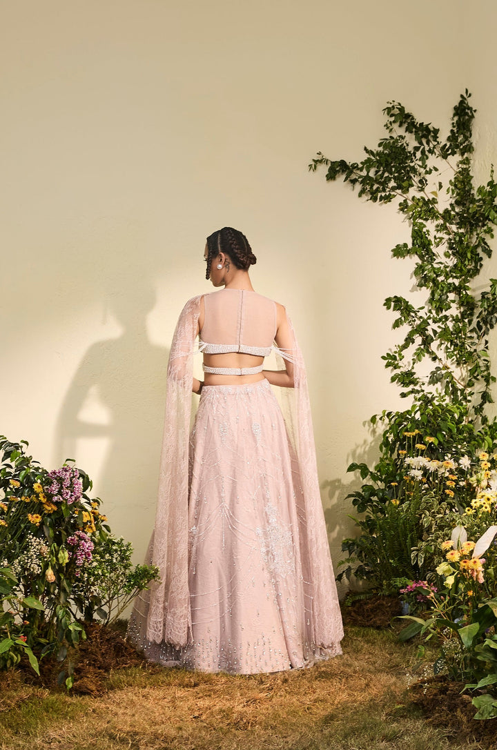 Old Rose Crystal Lehenga With Beaded Blouse