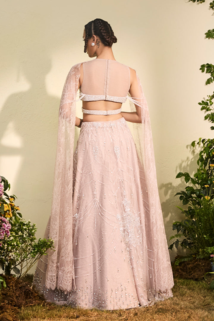 Old Rose Crystal Lehenga With Beaded Blouse