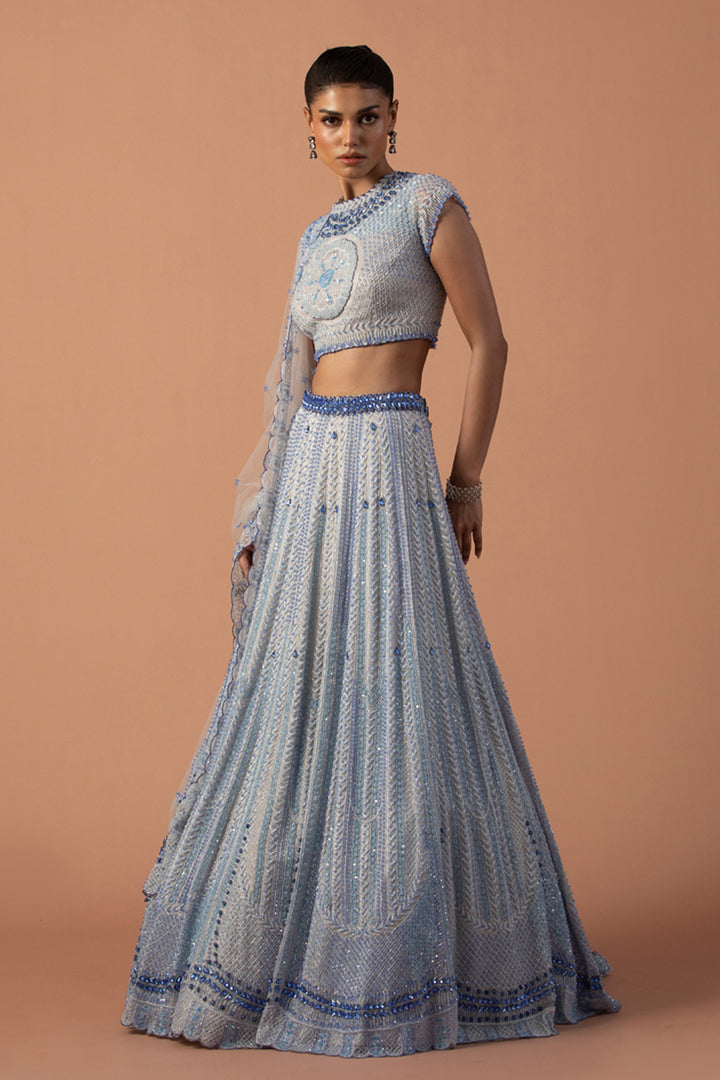 Grey Silk Organza Lehenga With Swarovski Stones And Bugle Beads, High Neck Blouse & Dupatta