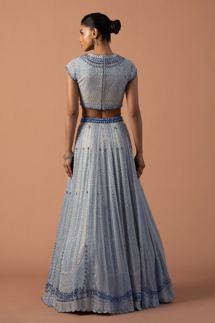 Grey Silk Organza Lehenga With Swarovski Stones And Bugle Beads, High Neck Blouse & Dupatta